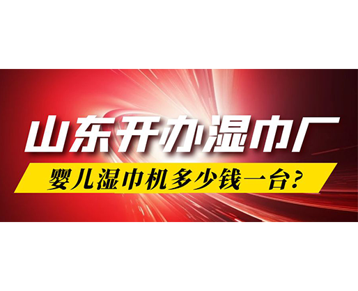 山东开办湿巾厂，婴儿湿巾机多少钱一台?