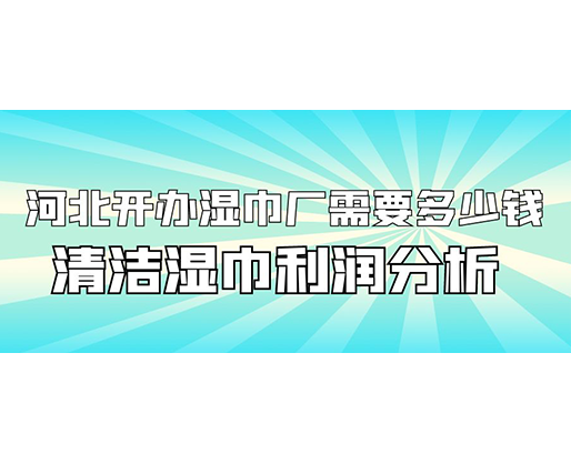 河北开办湿巾厂需要多少钱(附清洁湿巾利润分析)