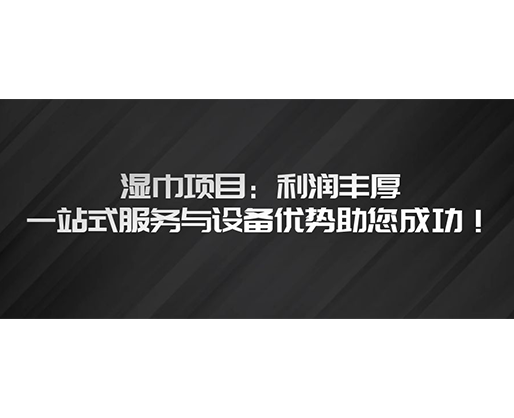 湿巾项目：利润丰厚，一站式服务与设备优势助您成功！