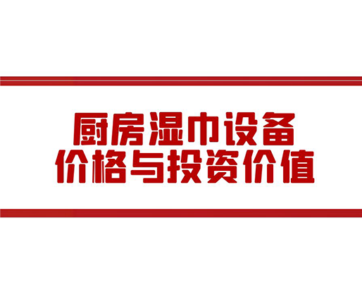 厨房湿巾设备价格与投资价值