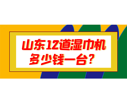 山东12道湿巾机多少钱一台？