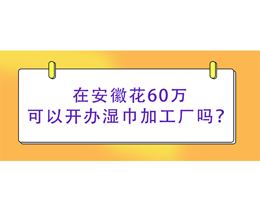 在安徽花60万可以开办湿巾加工厂吗？