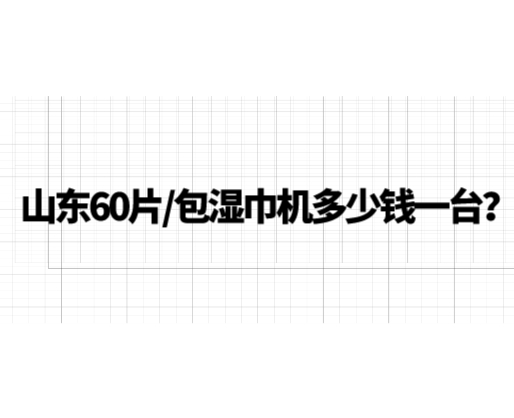 山东60片/包湿巾机多少钱一台？