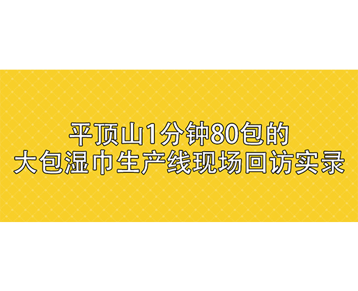 平顶山1分钟80包的大包湿巾生产线现场回访实录