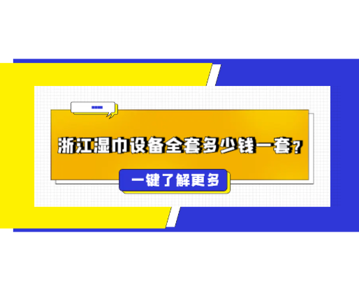 浙江湿巾设备全套多少钱一套
