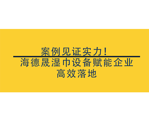 案例见证实力！海德晟湿巾设备赋能企业高效落地，抢占行业先机