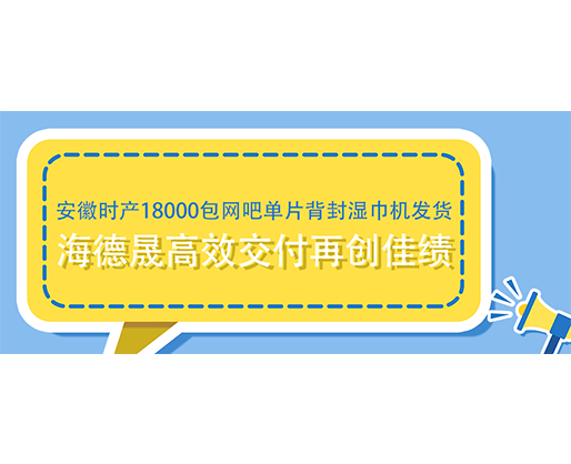 安徽时产18000包网吧单片背封湿巾机发货，海德晟高效交付再创佳绩