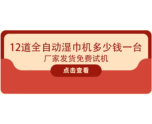 12道全自动湿巾机多少钱一台，厂家发货免费试机