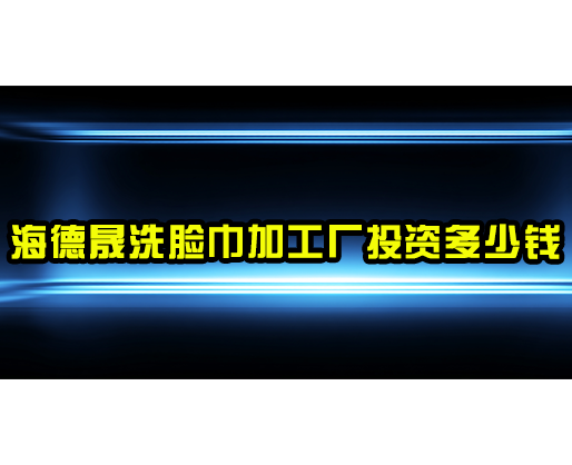 海德晟洗脸巾加工厂投资多少钱