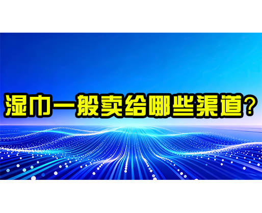  湿巾一般卖给哪些渠道？