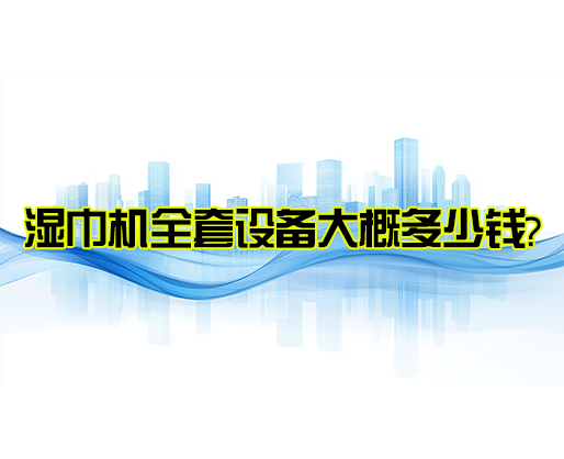 湿巾机全套设备大概多少钱?